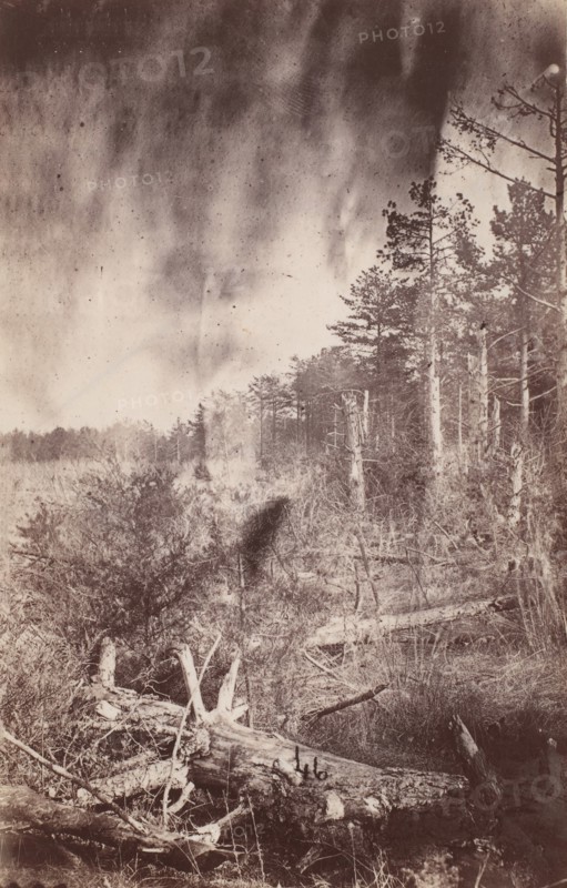 The Wilderness Battlefield, 1864.