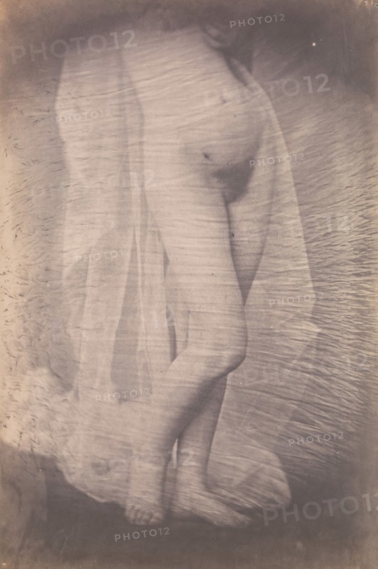 [Standing Female Nude], ca. 1856.