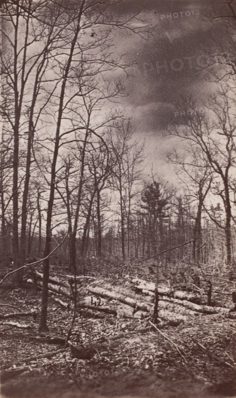 The Wilderness Battlefield, 1864.