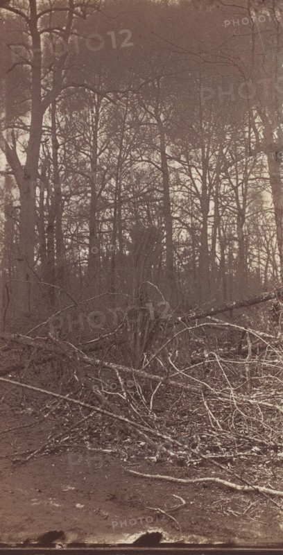 The Wilderness Battlefield, 1864.