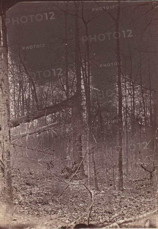 The Wilderness Battlefield, 1864.