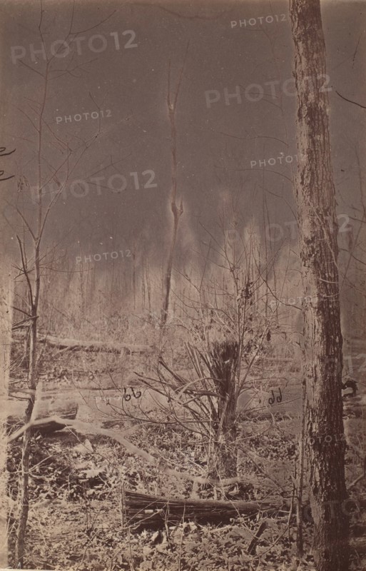 The Wilderness Battlefield, 1864.