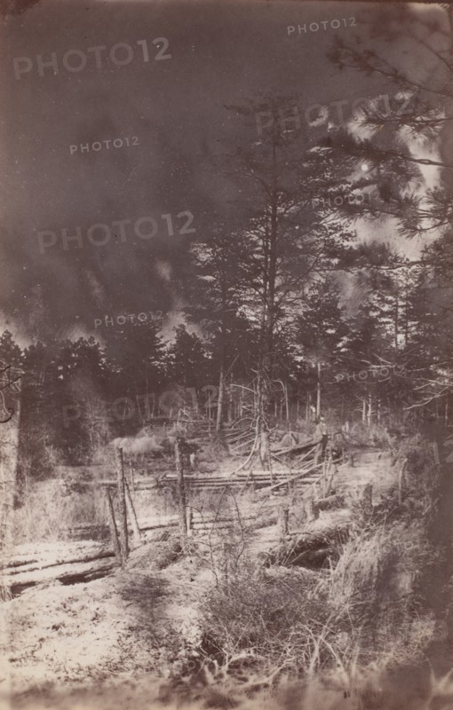 The Wilderness Battlefield, 1864.