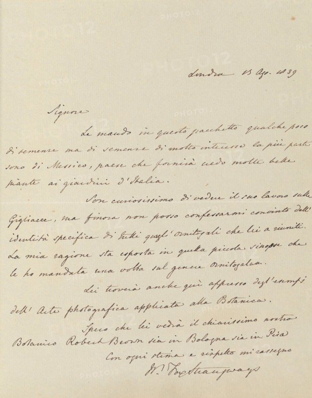 Manuscript Letter from William-Fox Strangways to Antonio Bertoloni, 1839. [Letter in Italian, discussing botany].