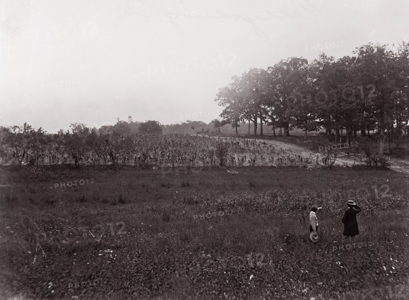 Gettysburg, Pennsylvania, 1863. Formerly attributed to Mathew B. Brady.