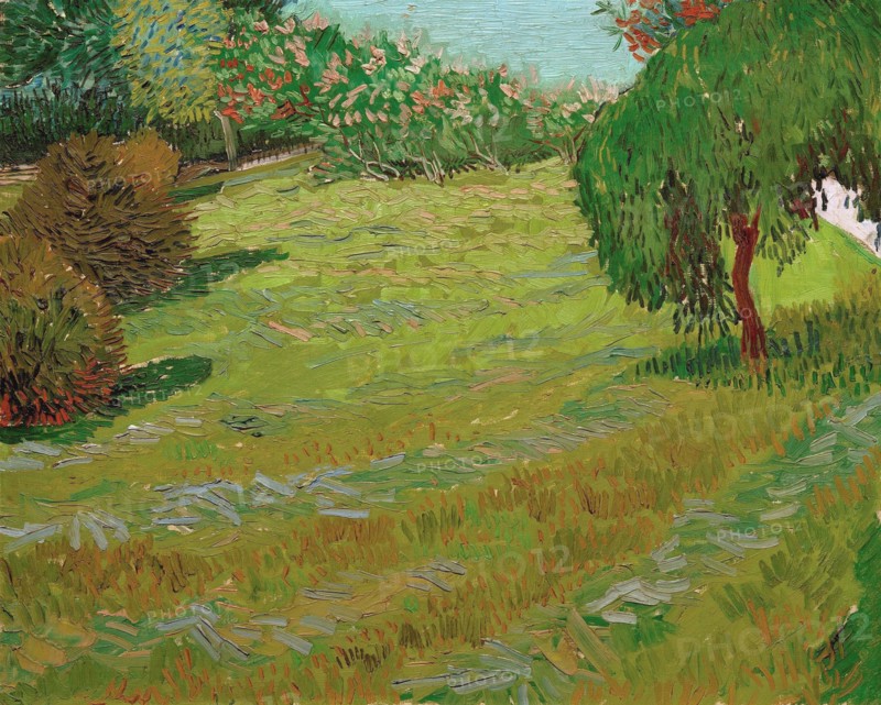 Garden with Weeping Willow, 1888. Creator: Gogh, Vincent, van (1853-1890).