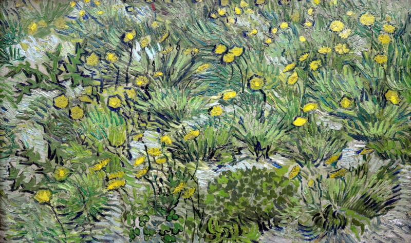 Les pissenlits (Dandelions), 1889. Creator: Gogh, Vincent, van (1853-1890).