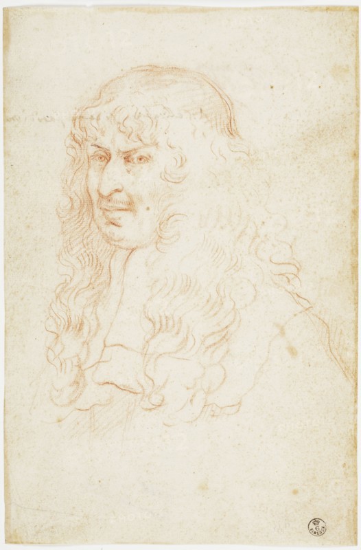 Portrait of Count Annibale Ranuzzi. Creator: Sirani, Elisabetta (1638-1665).