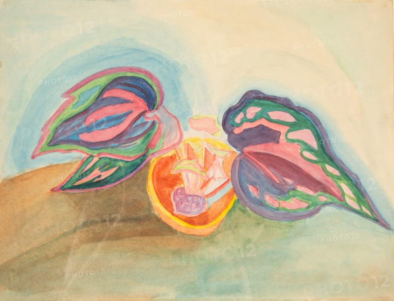 Still Life with Plant, c. 1920. Creator: Matyushin, Mikhail Vasilyevich (1861-1934).