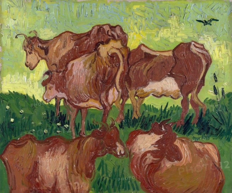 The Cows (After Jacob Jordaens), 1890. Creator: Gogh, Vincent, van (1853-1890).