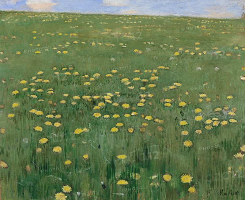 The Flower Meadow, ca 1901. Creator: Hodler, Ferdinand (1853-1918).