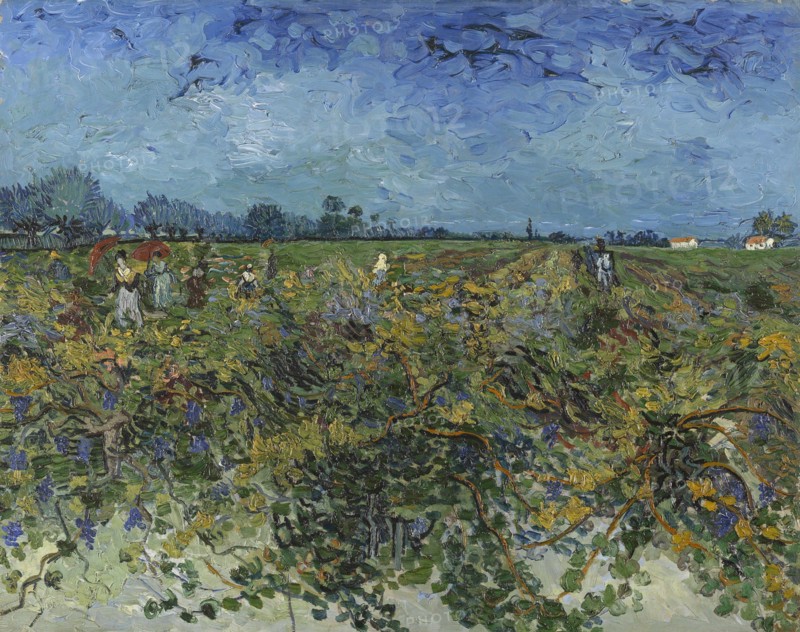 The Green Vineyard, 1888. Creator: Gogh, Vincent, van (1853-1890).