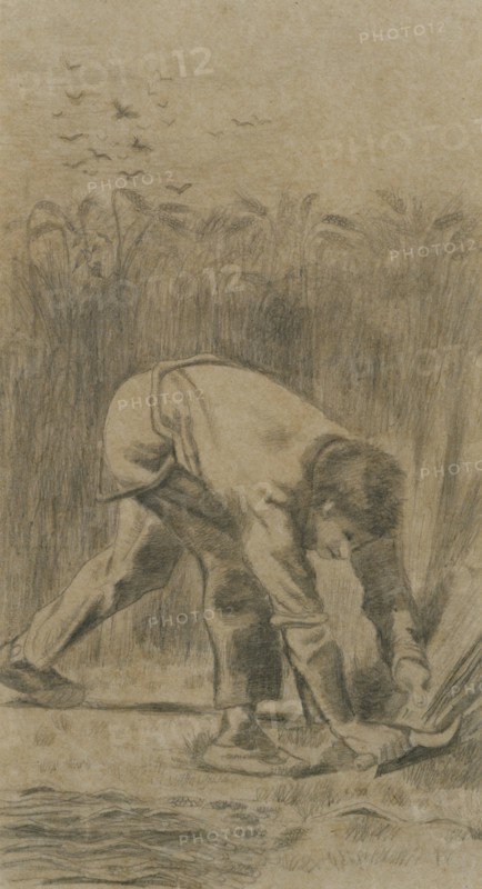 The Reaper (after Millet), 1880. Creator: Gogh, Vincent, van (1853-1890).