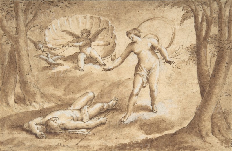 Venus Discovering the Death of Adonis, 17th century. Creator: Anon.