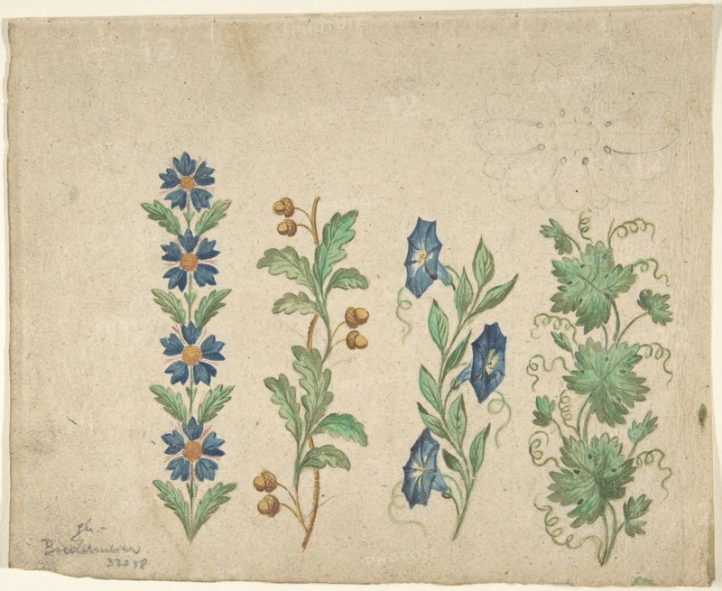 Designs for Embroidery, 19th century. Creator: Anon.