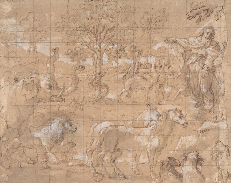 Garden of Eden; Creation of the Animals, 16th century. Creator: Anon.