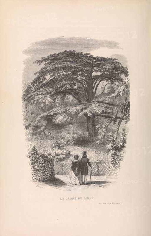 Le Jardin des Plantes, Descriptions et Moeurs des Mammiferes, 1842. Creator: Francois Boitard.