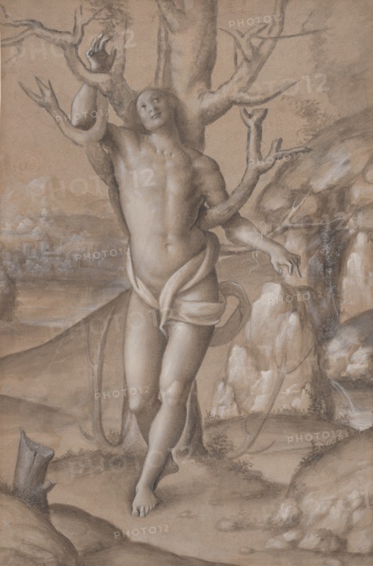 Saint Sebastian, ca. 1524. Creator: Gerolamo Giovenone.