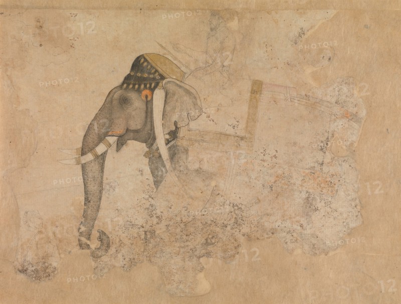 Elephant and Rider, ca. 1640. Creator: Attributed to Hashim.