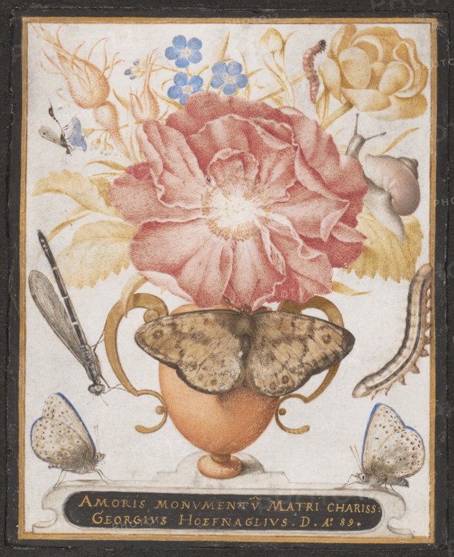 Still Life with Flowers, a Snail and Insects, 1589. Creator: Joris Hoefnagel.