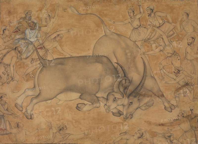 Buffaloes in Combat, late 16th century. Creator: Attributed to Miskin.