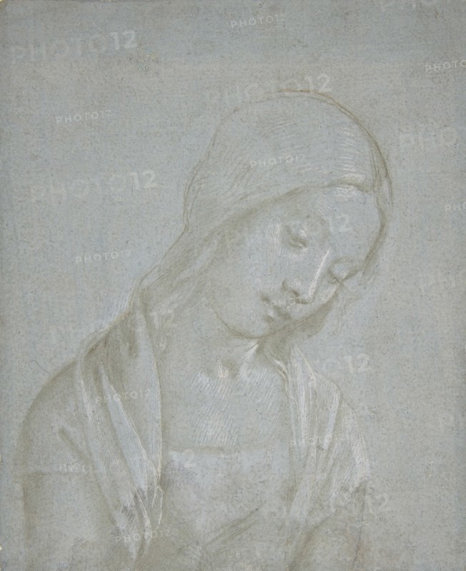 Bust of a Young Woman, ca. 1495. Creator: Attributed to Piero di Cosimo.