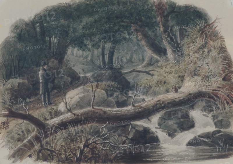 The Entrance to a Wood, 1836. Creator: Robert Walter Weir.
