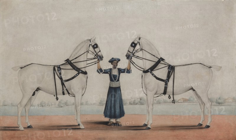 A Syce (Groom) Holding Two Carriage Horses, ca. 1845. Creator: attributed to Shaikh Muhammad Amir of Karraya.