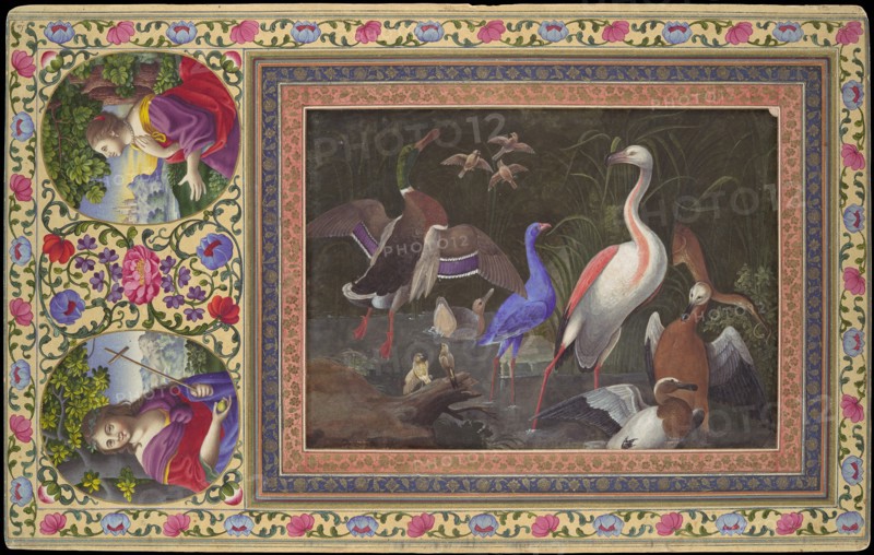 Aquatic Birds at a Pool, Folio from the Davis Album, 18th century. Creator: Unknown.