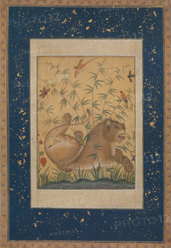 Lion at Rest, ca. 1585. Creator: Mansur.