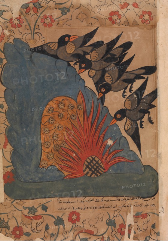 The Crows Trap the Owls in Their Cave by Lighting a Fire at the Entrance and Fanning..., 18th cent. Creator: Unknown.