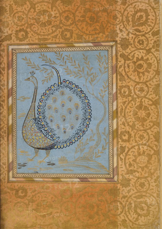 Calligraphic Composition in Shape of Peacock, Folio from the Bellini Album, ca. 1600. Creator: Unknown.