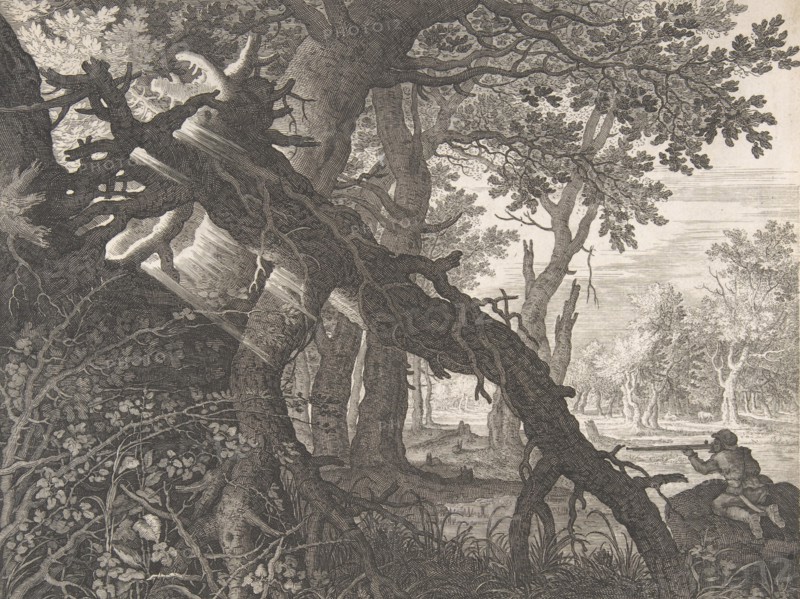 A Forest with a Rabbit Hunt,.n.d. Creator: Aegidius Sadeler II.