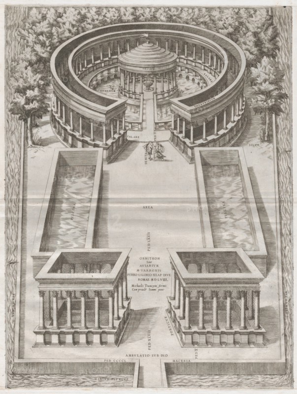 Speculum Romanae Magnificentiae: Ornithon Sive Aviarium, 1558., 1558. Creator: Anon.