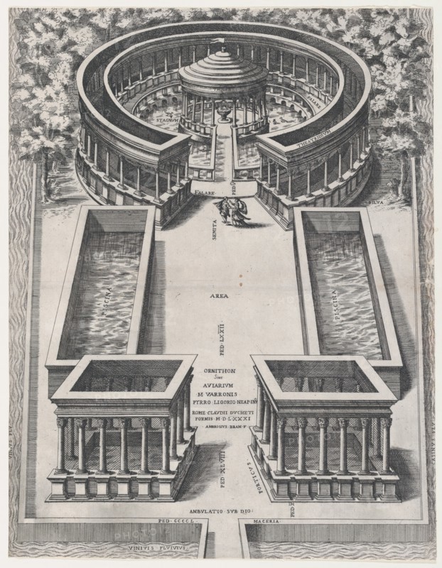 Speculum Romanae Magnificentiae: Ornithon Sive Aviarum, 1581., 1581. Creator: Giovanni Ambrogio Brambilla.