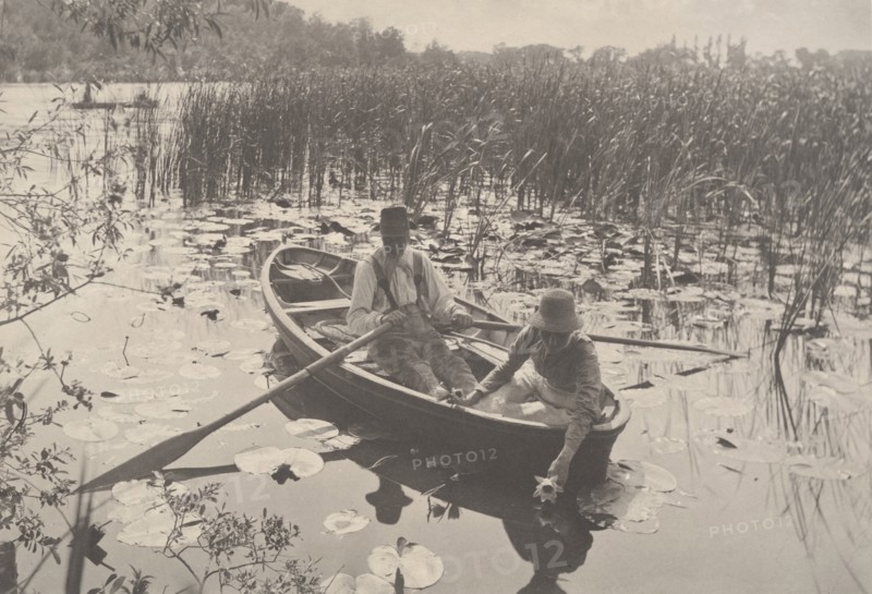 Life and Landscape on the Norfolk Broads, 1885-86., 1885-86. Creator: Dr Peter Henry Emerson.