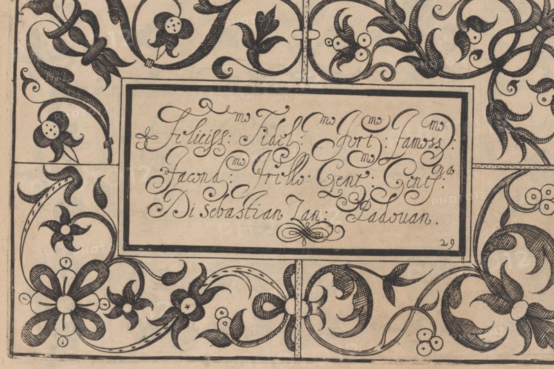 Ghirlanda: Di sei vaghi fiori scielti da piu famosi Giardini d'Italia, page 37 ..., October 1, 1604. Creators: Pietro Paulo Tozzi, Antonello Bertozzi, Sebastian Zanella.