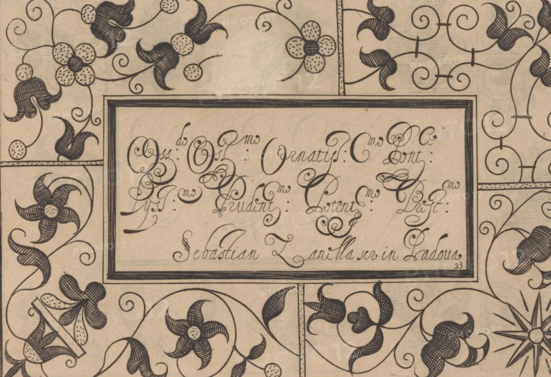 Ghirlanda: Di sei vaghi fiori scielti da piu famosi Giardini d'Italia, page 41 ..., October 1, 1604. Creators: Pietro Paulo Tozzi, Antonello Bertozzi, Sebastian Zanella.