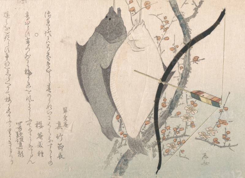 Halibuts and a Bow with Arrow Hanging on a Plum Tree, 19th century., 19th century. Creator: Shinsai.