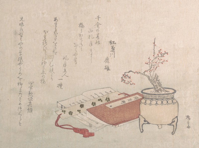 Potted Plum Tree in Blossom and Books, 19th century., 19th century. Creator: Shinsai.