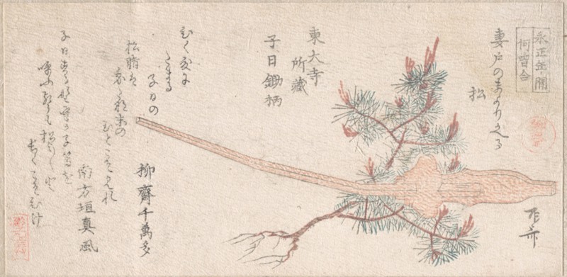 Young Pine Tree and Handle of a Plow, 19th century., 19th century. Creator: Shinsai.
