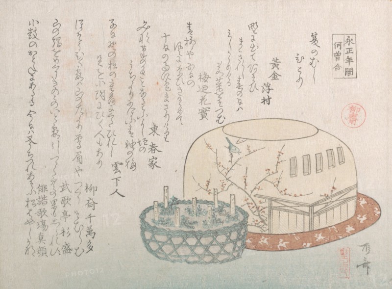 Insect Catcher and Potted Herbs, 19th century., 19th century. Creator: Shinsai.