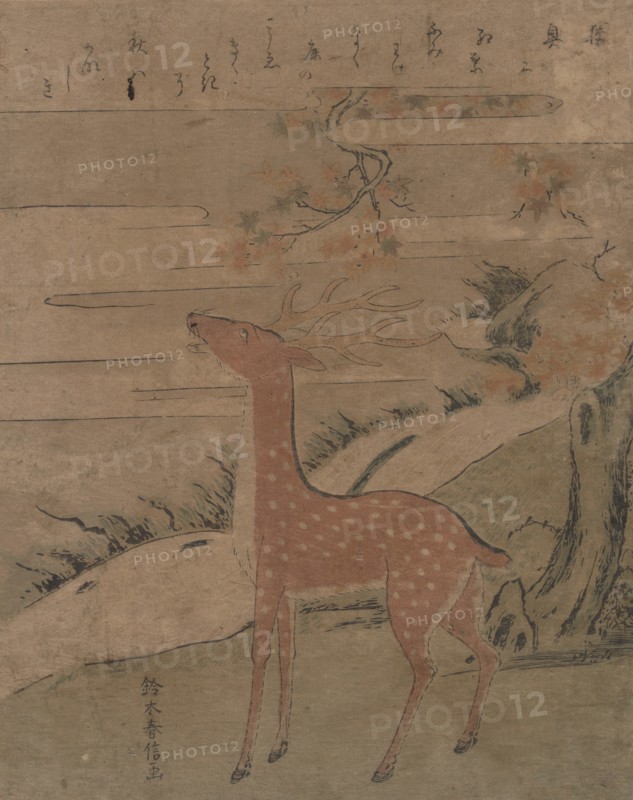 The Cry of the Stag, ca. 1760., ca. 1760. Creator: Suzuki Harunobu.
