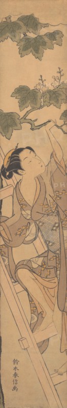 Young Woman Climbing a Ladder, ca. 1768., ca. 1768. Creator: Suzuki Harunobu.