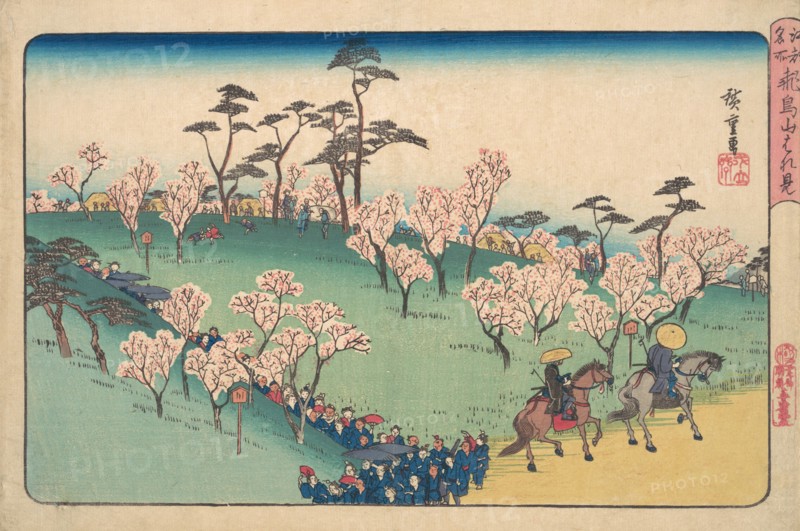 Asukayama Hanami. Creator: Ando Hiroshige.