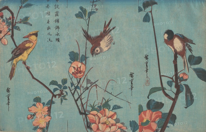 Titmouse and Camellias (right), Sparrow and Wild Roses (center), and Black-naped Oriol..., ca. 1833. Creator: Ando Hiroshige.
