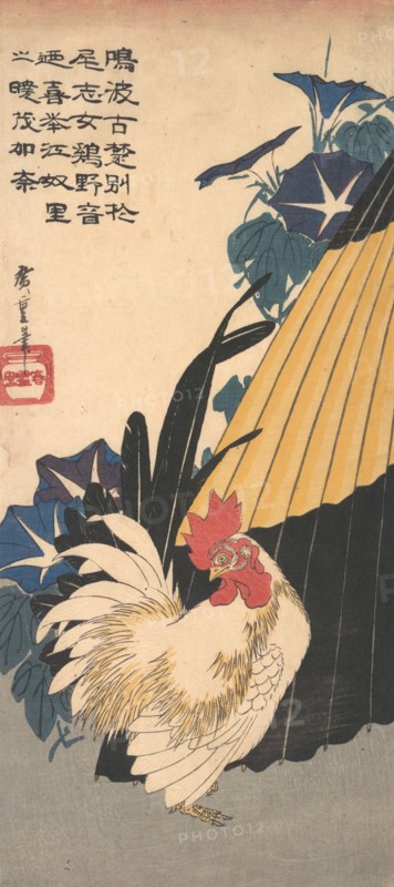 Rooster, Umbrella, and Morning Glories, ca. 1830., ca. 1830. Creator: Ando Hiroshige.