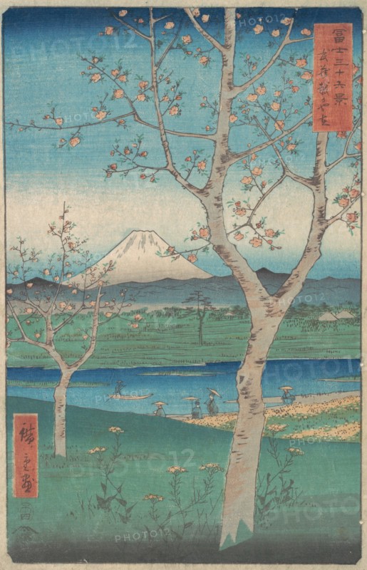 View of Mount Fuji from Koshigaya, Province of Musashi (Musashi, Kos..., 4th month, Horse year 1858. Creator: Ando Hiroshige.