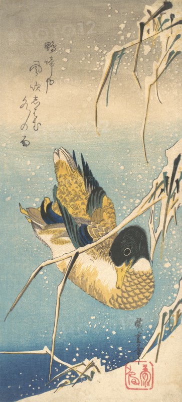 Mallard Duck and Snow-covered Reeds , ca. 1832., ca. 1832. Creator: Ando Hiroshige.