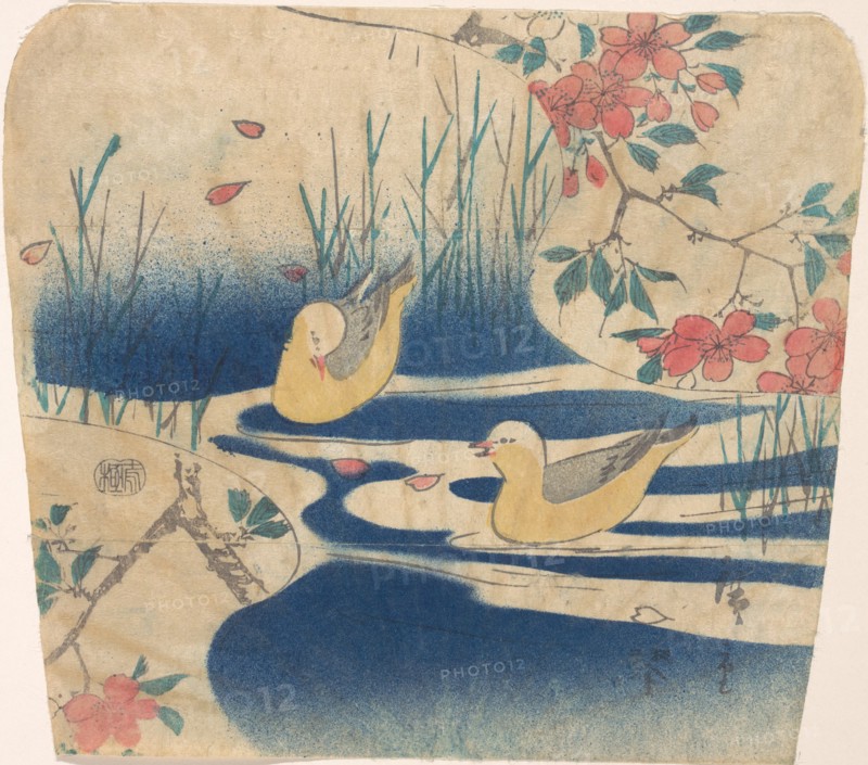 Hooded Gulls and Cherry Blossoms, probably 1850-62., probably 1850-62. Creator: Ando Hiroshige.